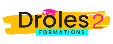 Logo Drôles 2 Formations, organisme spécialisé dans la formation professionnelle et l'accompagnement des candidats